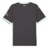 AC Milan Puma 2024/25 Third Authentic T-shirt - Charcoal